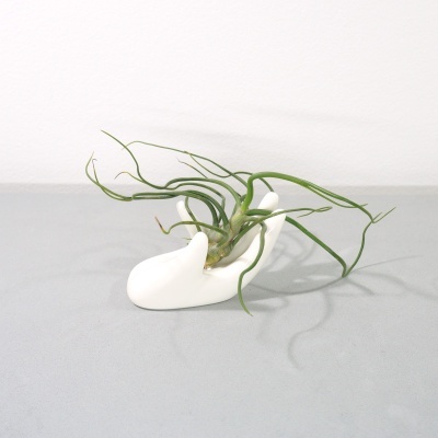 Vaso em forma de mão branca com planta verde