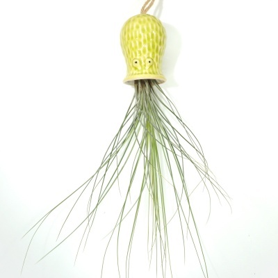 Planta de ar pendurada numa peça de cerâmica amarela com olhos