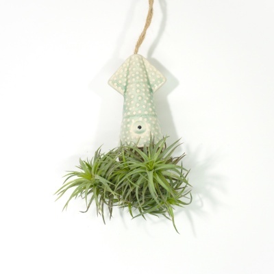 Vaso pendente em forma de lula verde claro com bolinhas brancas e plantas aéreas verdes