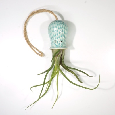 Planta aérea com suporte em cerâmica azul em forma de polvo com corda para pendurar