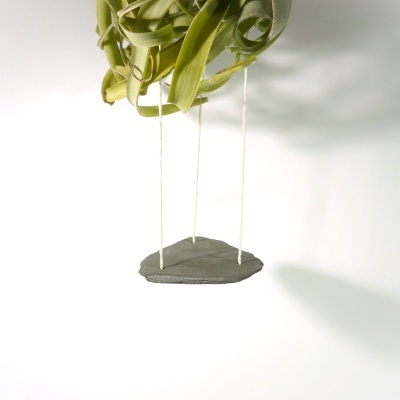 Planta suspensa com folhas verdes e placa cinzenta pendurada