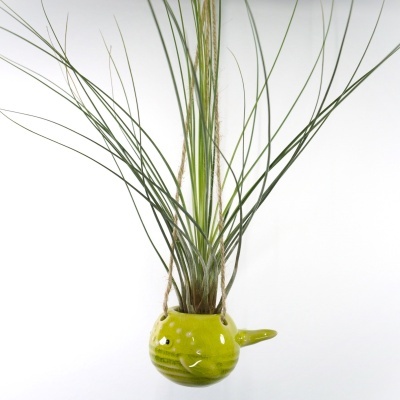 Vaso cerâmico verde suspenso com planta artificial e corda para pendurar