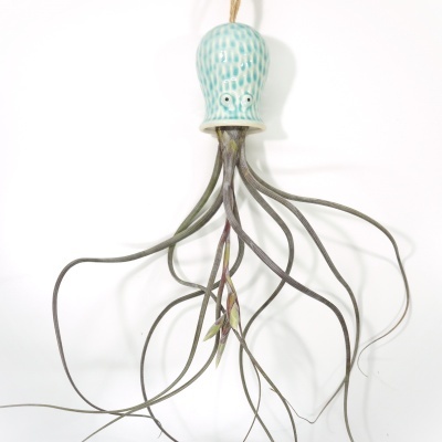 Vaso suspenso em cerâmica azul com planta Tillandsia com folhas longas