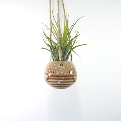 Vaso suspenso de cerâmica rosa com planta verde