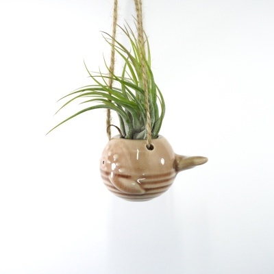 Vaso pendurado em cerâmica com planta verde