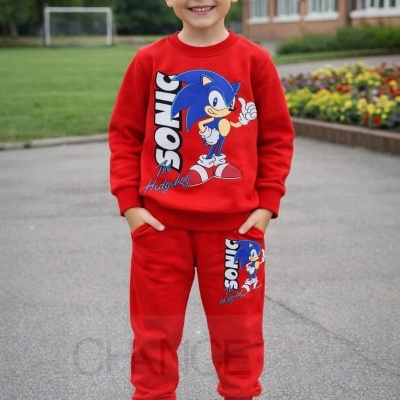 Criança com conjunto desportivo vermelho com estampado Sonic the Hedgehog e ténis brancos, em ambiente exterior com relvado e flores.