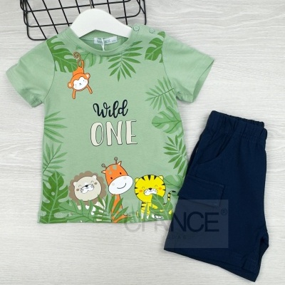 Conjunto infantil verde e azul com estampa de animais selvagens