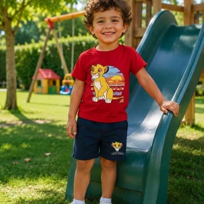Criança sorridente veste conjunto vermelho e azul com estampas do Rei Leão em parque com escorrega.