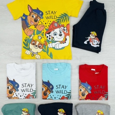 Conjunto infantil com várias camisetas coloridas e calções com personagens de desenho animado e texto STAY WILD