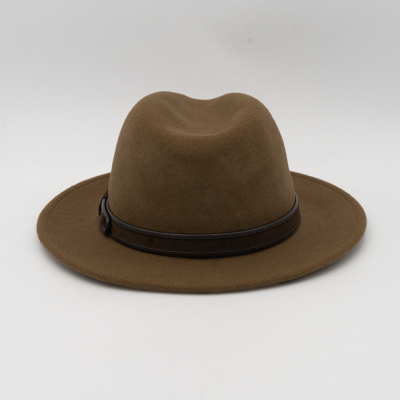 Chapéu de feltro castanho com aba larga