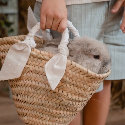 Cesto trançado com coelho cinzento e criança