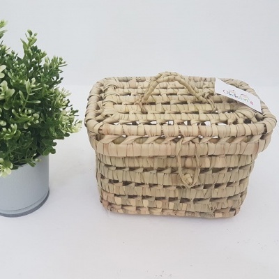 Cesta de palha quadrada com tampa ao lado de vaso com planta verde