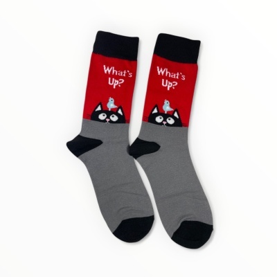 Meias cinza e vermelha com gato e pássaro azul e texto 