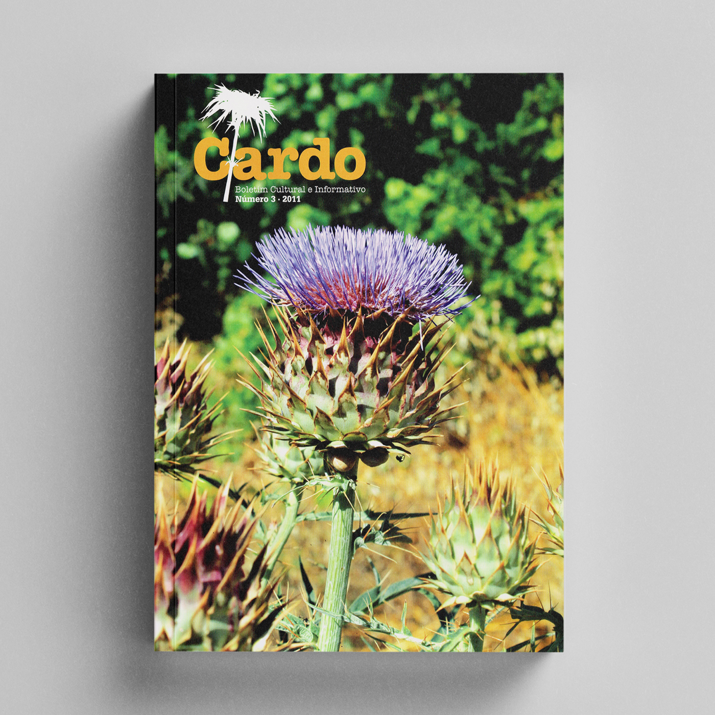 Cardo Revista Cardo com fotografia de cardo em flor na capa