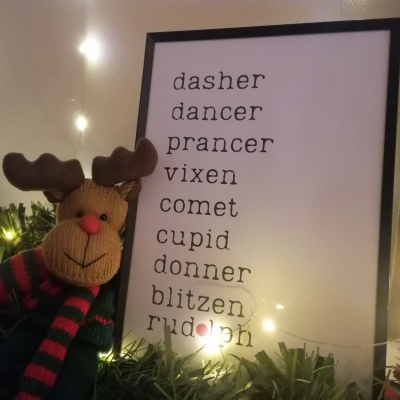 Quadro com nomes das renas do Pai Natal em moldura preta ao lado de rena em tecido com cachecol, com luzes de Natal e vegetação artificial.