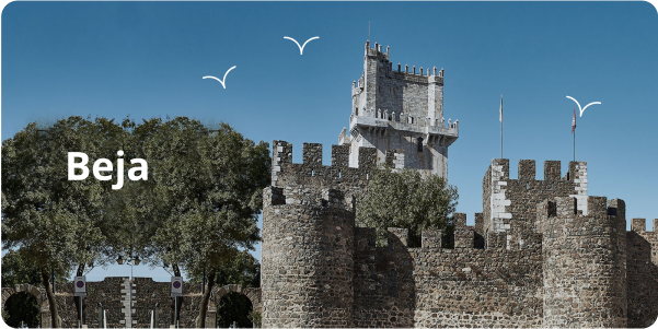 Beja