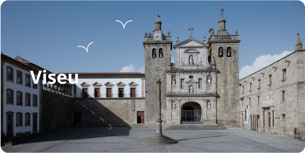 Viseu
