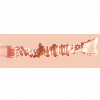 espinha dorsal rosa e laranja com textura ondulada e segmentada