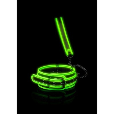 Coleira e trela neon verde fluorescente com fecho metálico sobre fundo preto