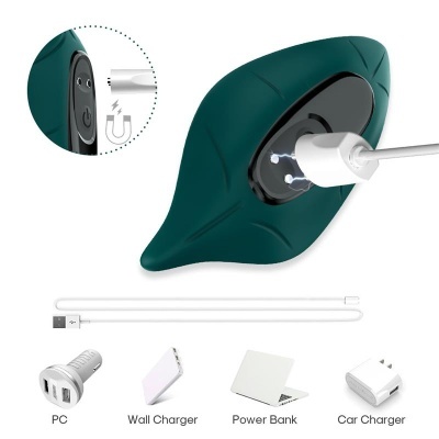 Dispositivo verde escuro em forma de folha com conector magnético USB e acessórios de carregamento branco
