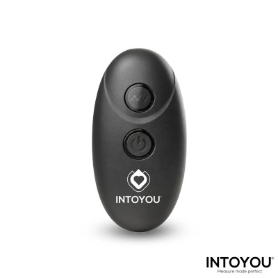 Controle remoto preto com botões e logótipo INTOYOU