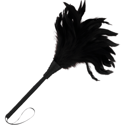 pluma decorativa preta com cabo fino e penas