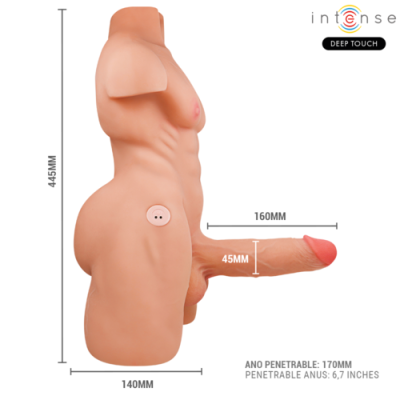 Modelo anatómico masculino realista com dimensões e características impressas