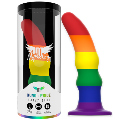 Dildo colorido em tons arco-íris com embalagem translúcida e etiqueta branca