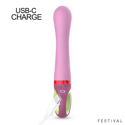 Vibrador rosa e lilás com entrada USB-C e texto USB-C CHARGE