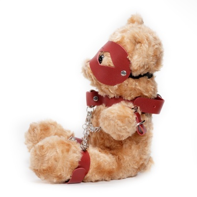 Urso de pelúcia castanho com acessórios vermelhos em fundo branco