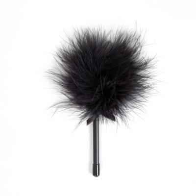 Pluma negra decorativa com cabo preto