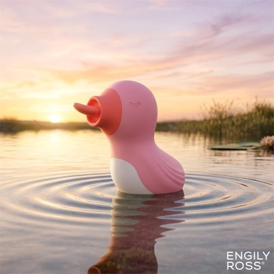 Brinquedo de pato rosa e branco na água ao pôr do sol com texto ENGILY ROSS