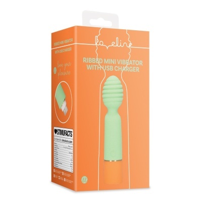 Embalagem laranja de mini vibrador verde claro com carregador USB