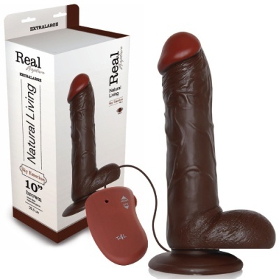 Dildo castanho realista com ventosa e controle remoto ao lado de caixa branca com texto em inglês