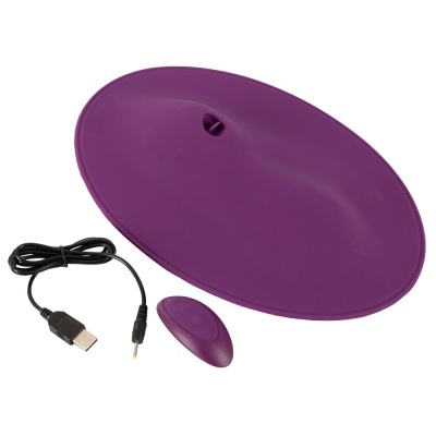 Dispositivo oval roxo com controlo remoto e cabo USB