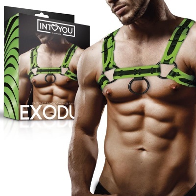 Arnês de peito masculino verde e preto com argolas metálicas pretas