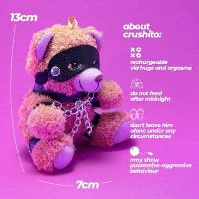 Ursinho de peluche com máscara preta e coleira em fundo roxo