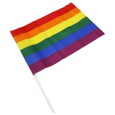 Bandeira colorida LGBTQ+ com haste branca