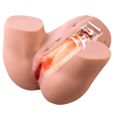 Simulador anatómico da região pélvica feminina com dispositivo vaginal translúcido