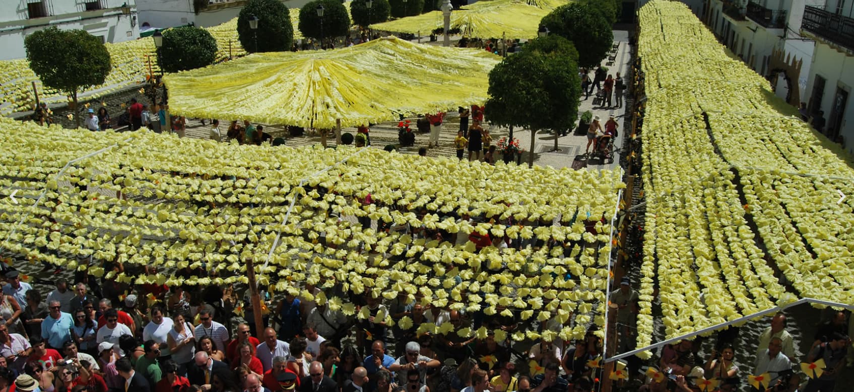 Festas do Povo de Campo Maior 2026 - Pack Hotel + Entrada Tetos feitos de flores amarelas penduradas numa rua urbana com público debaixo.