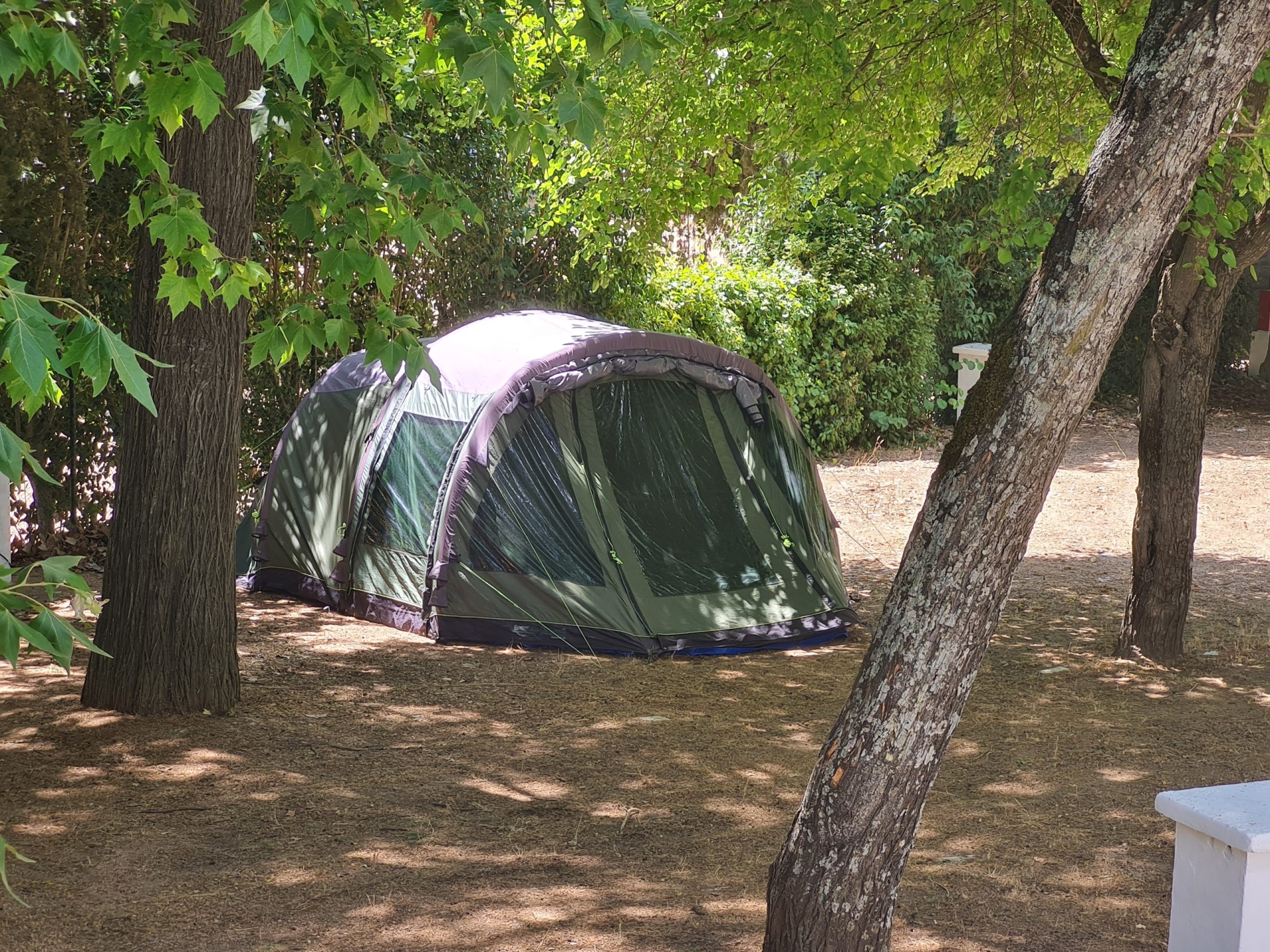 Festas do Povo de Campo Maior 2026 - Pack Camping Piedade em Elvas Tenda de campismo verde instalada entre árvores em espaço exterior