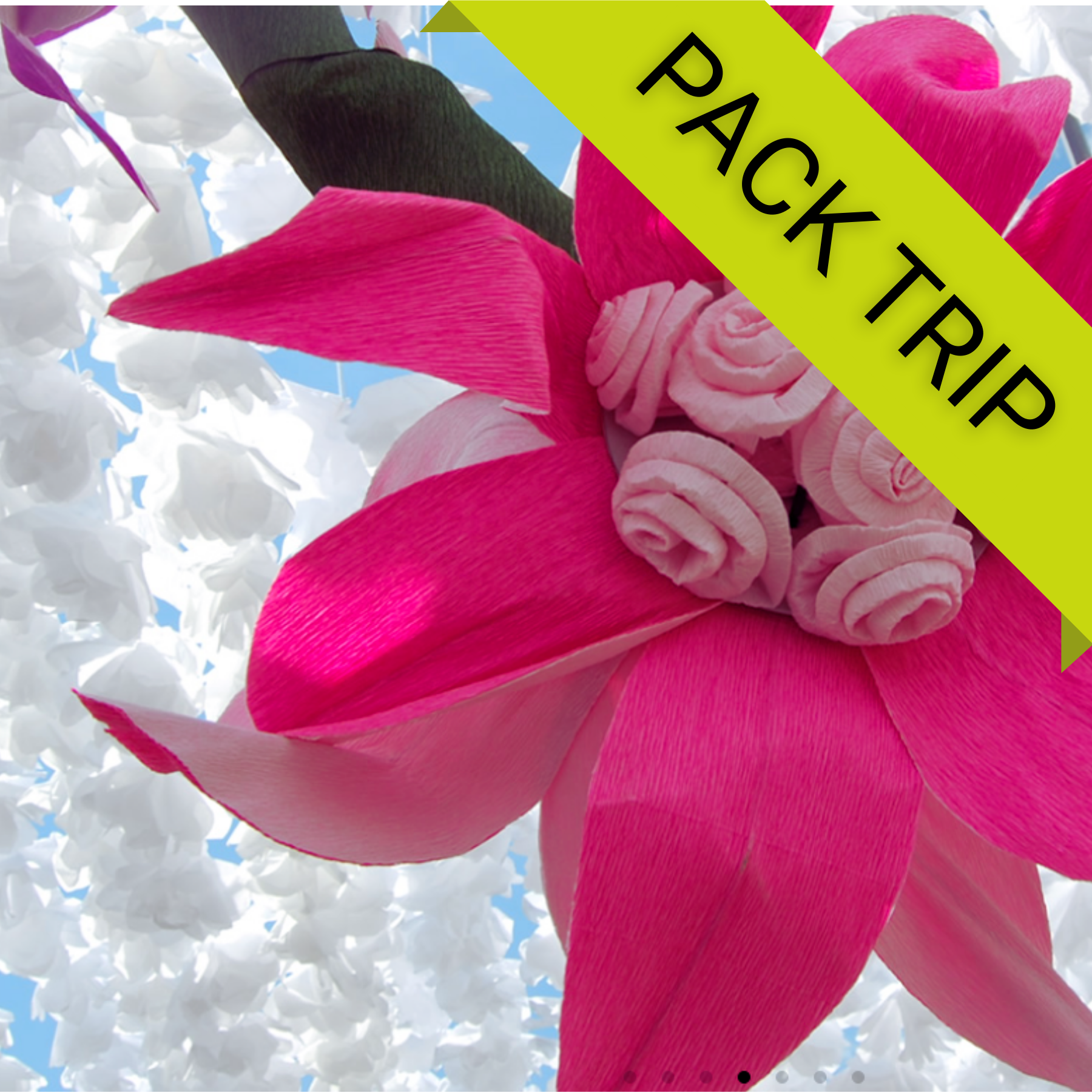 Festas do Povo de Campo Maior 2026 - Pack Camping Piedade em Elvas Flor decorativa rosa de papel crepom com fundo de flores brancas