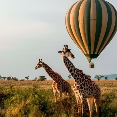 https://www.clubetripland.pt/product/safari-karibu-grande-rota-quenia-e-tanzania-12-dias