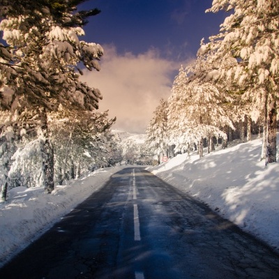 Estrada asfaltada com árvores e neve