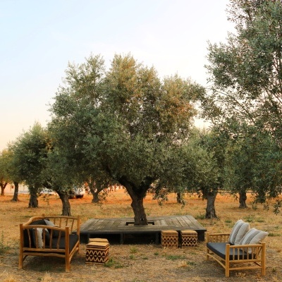 Móveis de jardim em madeira clara com almofadas escuras e banquetas geométricas em ambiente exterior seco com árvores