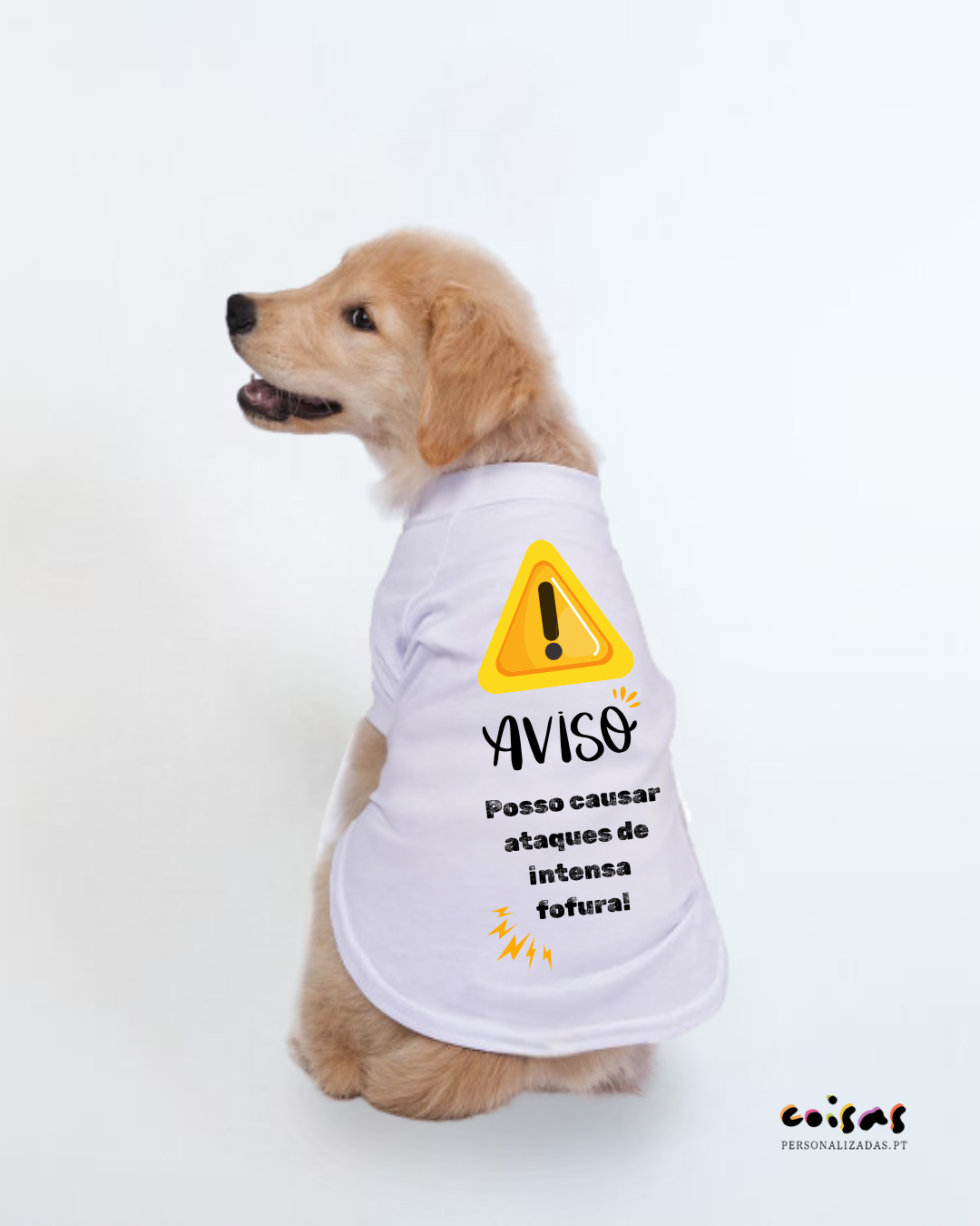 Cão com t-shirt branca com texto e símbolos de aviso em amarelo e preto
