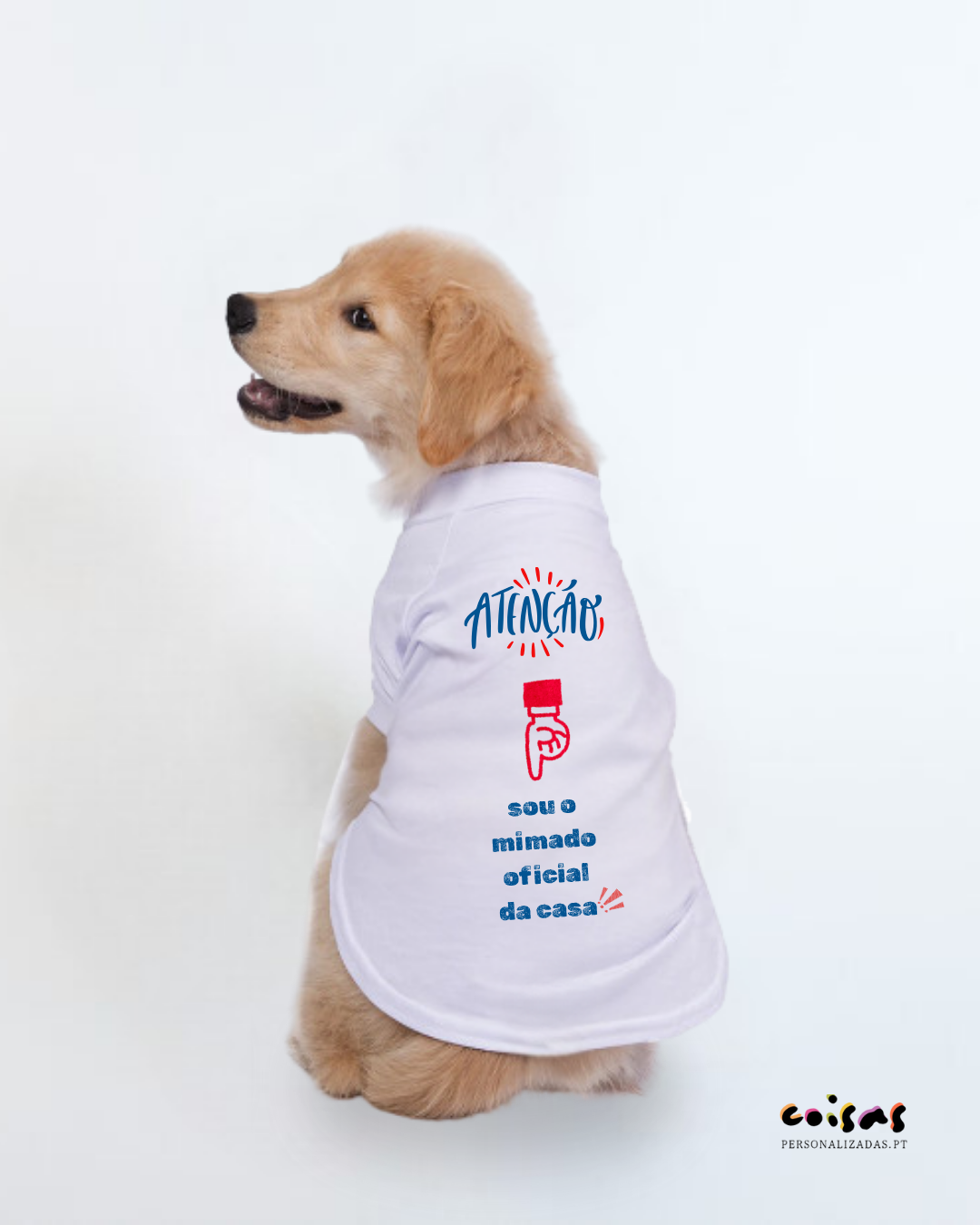 Cão com t-shirt branca personalizada com texto em português
