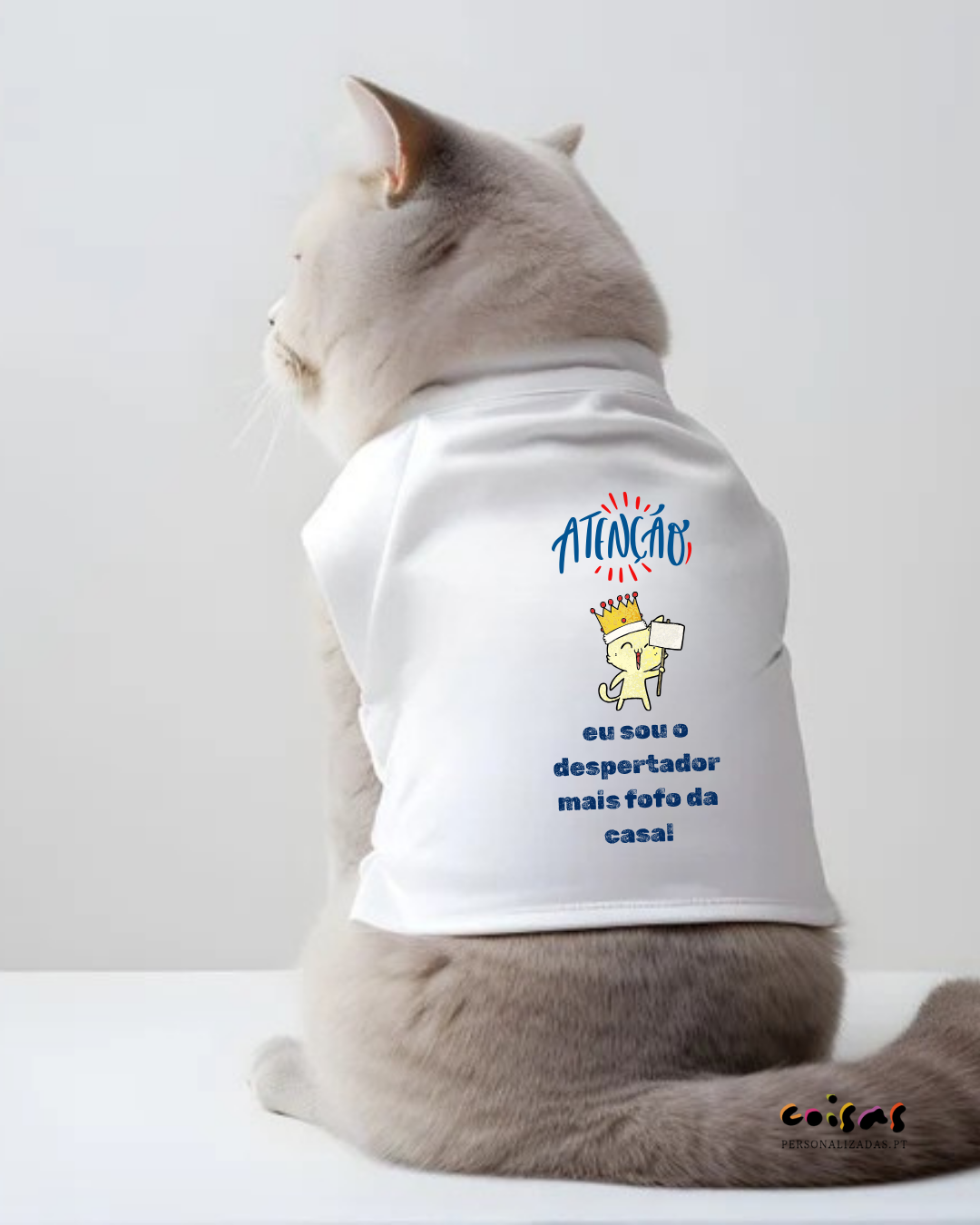 Gato cinzento claro com camiseta branca estampada com texto e desenho colorido