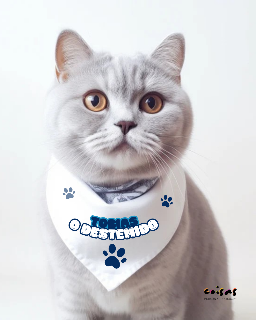 Gato cinzento com lenço branco e texto 'TOBIAS O DESTEIMIDO'