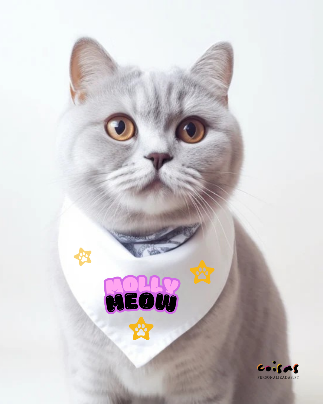 Gato com lenço branco decorado com estrelas amarelas e texto MOLLY MEOW